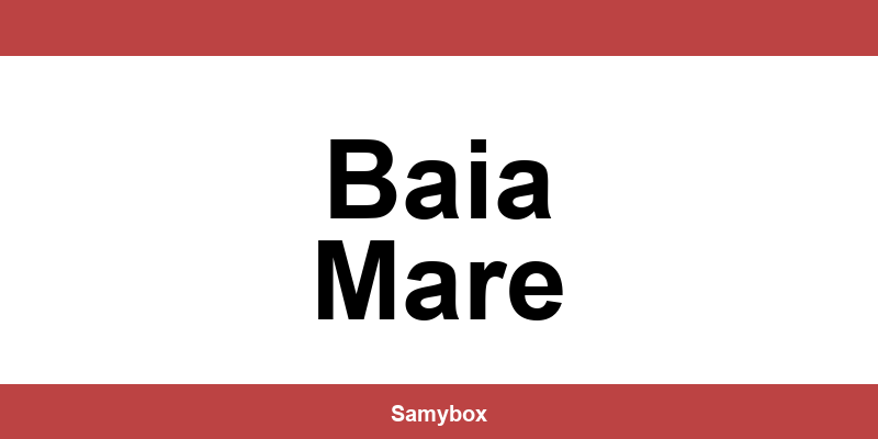 Găsește contactul depozitului Sameday din Baia Mare