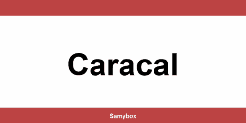 Găsește contactul depozitului Sameday din Caracal