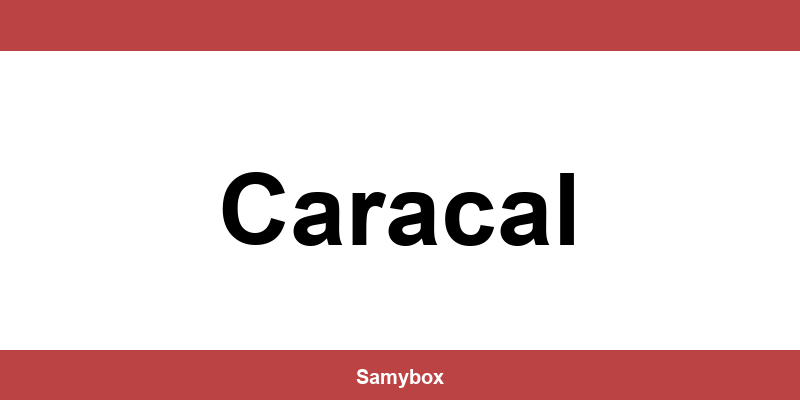 Găsește contactul depozitului Sameday din Caracal