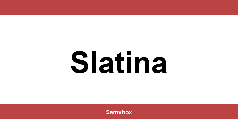 Găsește contactul depozitului Sameday din Slatina