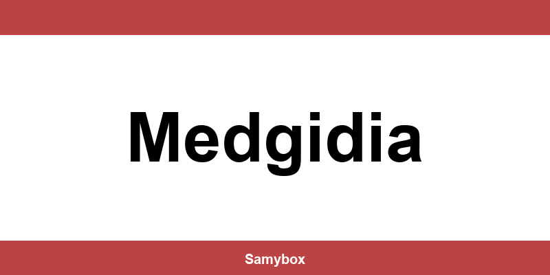 Găsește contactul depozitului Sameday din Medgidia