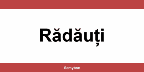 Găsește contactul depozitului Sameday din Rădăuți