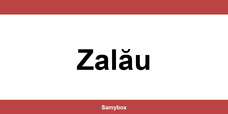 Găsește contactul depozitului Sameday din Zalău